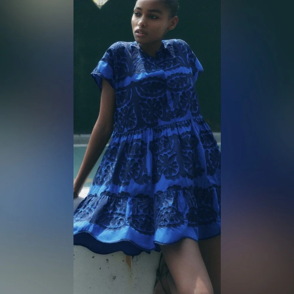 Zara Blue and Black Embroideted Dress - Picture 2 of 7
